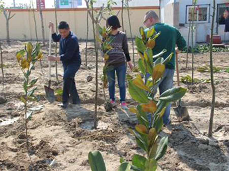 開展植樹活動 倡導綠色理念